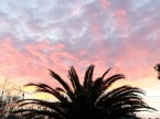 San Jose Sunrise, January 19 2012