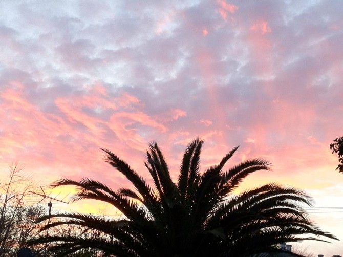 San Jose Sunrise, January 19 2012