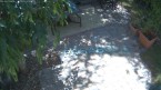 word-5-23-2012