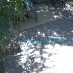 word-5-23-2012